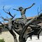 L'albero statua