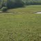 Peoria, IL: Wildlife Prairie State Park