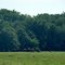 Peoria, IL: Wildlife Prairie State Park
