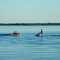 Jet Skis on Ottertail Lake