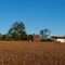 Farm, Augustine Highway
