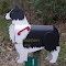Very nice mailbox