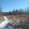 Path in Baird's Creek Area