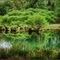 Lake Doberdò - Regional Nature Reserve