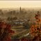 Misty Autumn View