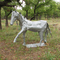 Zeus the Horse