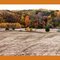 Fall Colors Near Home_4