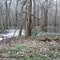 Cypress Swamp Weir