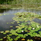 Threemile Creek