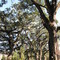 Springhill Avenue, Mobile, AL