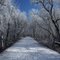 Hiking Hebron Trail in winter
