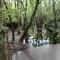 Fisher Creek Sink