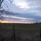 Foster Rd SAT Skyline