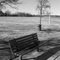 Time out bench