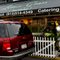 Lemon Grass Thai Kitchen - Tampa, FL