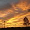 Ed Radice Park, Christmas morning