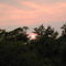 Sunset Over the Georgetown Wilds, April 2006