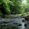 Aderholdt Mill Rd. Creek, Jacksonville