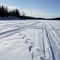 Lynx Lake Winter Traffic