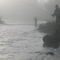 Misty Morning