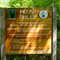 Mt Phillip Trailhead