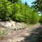 Sanders Hill Loop meets Kennebec Highlands Trail