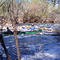 Big Shoals State Park