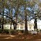 Stephen Foster State Park