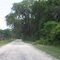 Road into Gand Bay NWR