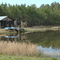 crickethouse and pond