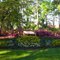 Valdosta State University flowers