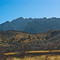 Chiricahua Mountains near Portal, Arizona