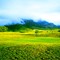 Number 9 green GPGC