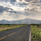 The Road to Paradise