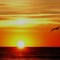 Sunrise on beach in Charleston, SC
