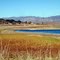 Lake Henshaw: the beauty of dry grass