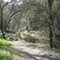 Picnic Area
