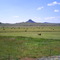 Hay harvest, Tarryall Creek, Eagle Rock