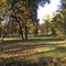 32 Rainey Road Landscape