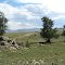 211 Moonbeam Dr, Hartsel, CO looking south
