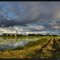 Rice Country