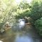 Looking north-easterly, upstream, at Auburn Ravine from the S. Brewer Rd. bridge. Pleasant Grove, California