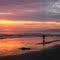surfers dream