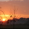 Outside Raleigh at Sunset