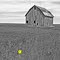 Lonely barn