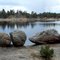 Bellaire Lake - Red Feather Lakes CO