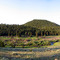 Red Feather Lakes Cabin View