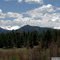 Dowdy Lake Red Feathers Colorado
