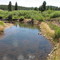 North Fork Poudre River