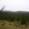 Near Red Feather Lakes